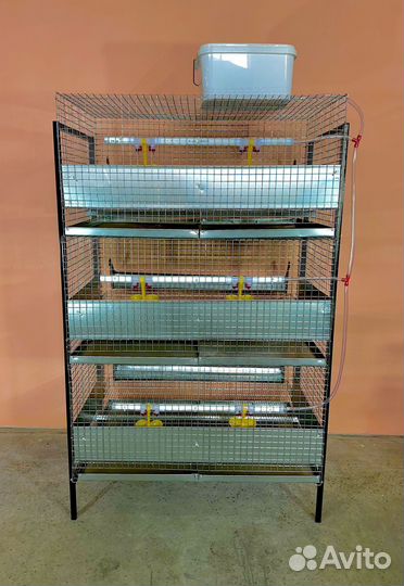 Клетки для кур несушек с яйцесборником