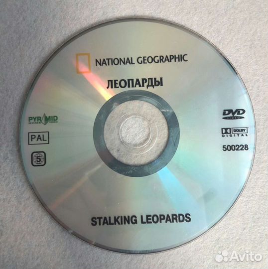 Диск DVD - видео ''Леопарды''