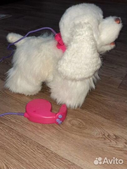 Интерактивная собака на поводке hasbro FRF GoGo