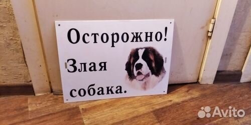 Табличка злая собака