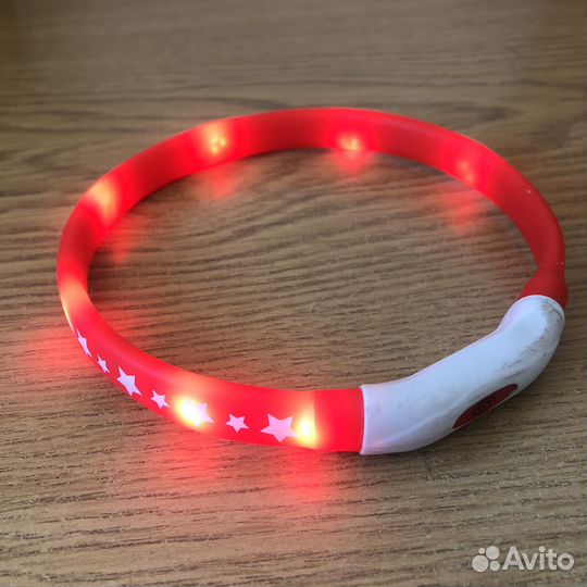 Ошейник для собак светящийся