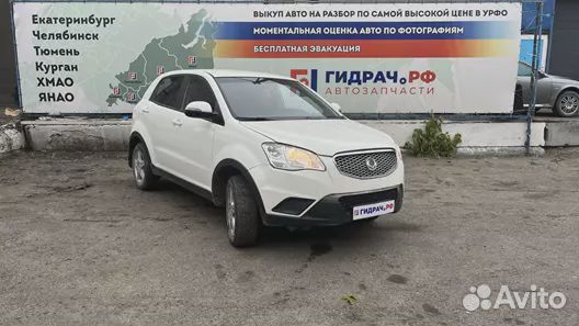 Накладка заднего крыла левого Ssang Yong Actyon Ne