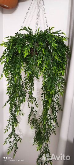 Искусственная зелень, подвесные сады