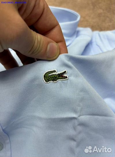 Рубашка Lacoste