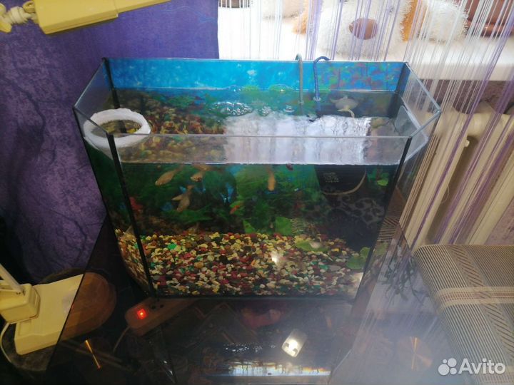 Аквариум