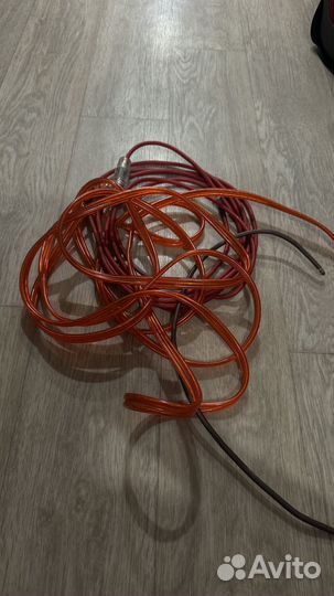 Тюльпаны провода