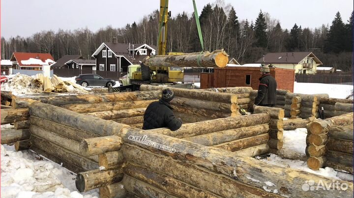 Необрезная доска из сосны Кело