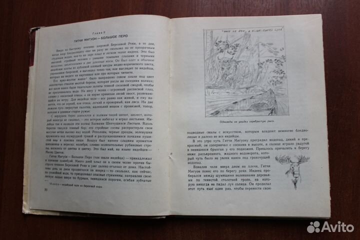 Серая Сова Саджо и ее бобры.1968г