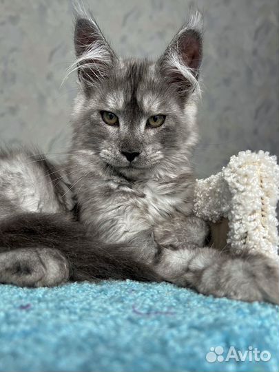 Девочка черный дым