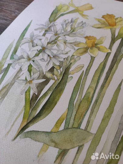 Картина, акварель/бумага, 24х32см