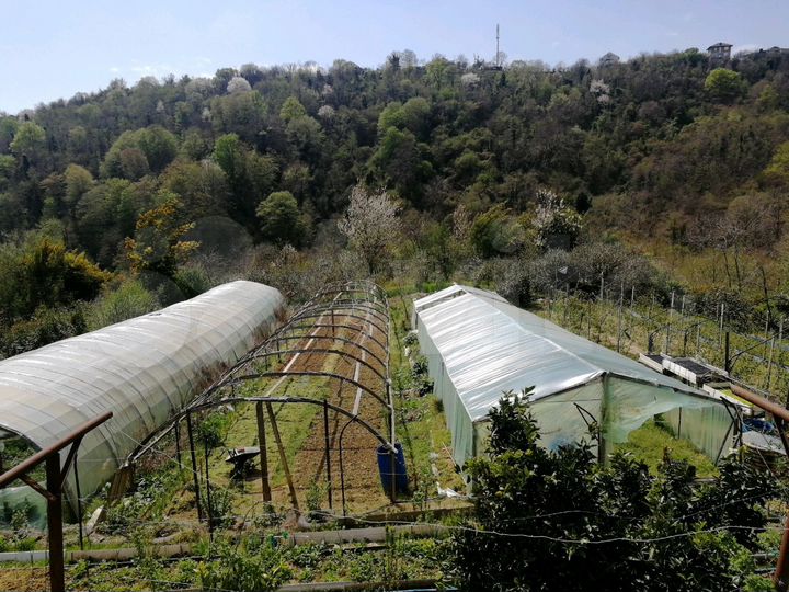 Участок 14 сот. (ИЖС)