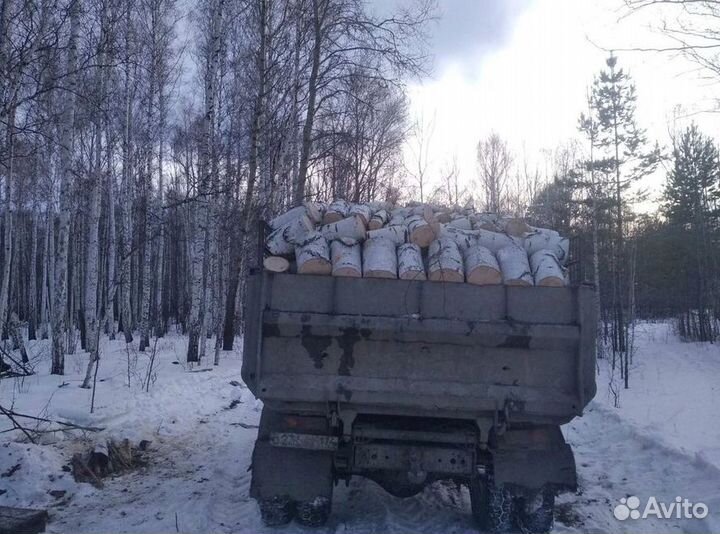 Дрова березовые чурбаками