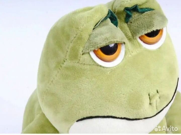 Грустный Валера. Лягушка познавшая эту жизнь