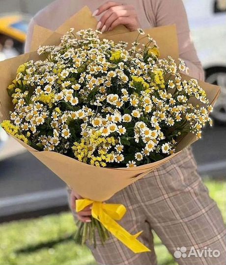 Букеты. Доставка ромашек