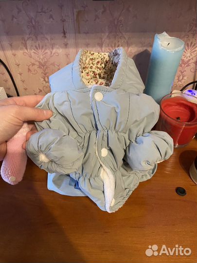 Одежда для собак