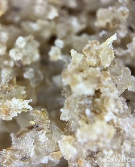 Электронный микроскоп для съемки на телефон