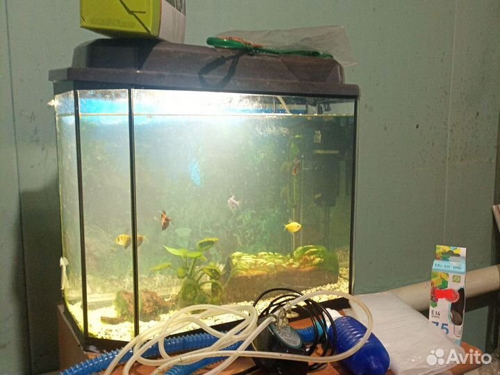 Аквариум