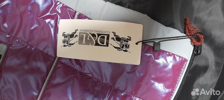 Жилетка женская, рубашка, перчатки