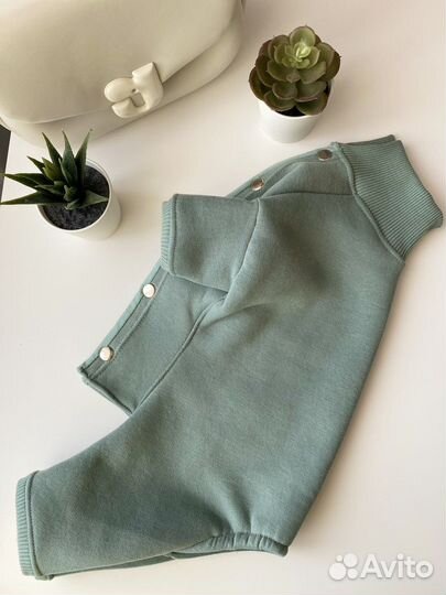 Одежда для собак