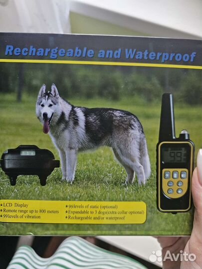 Ошейник новый