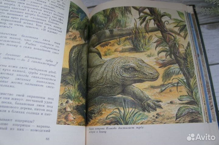 Покажите мне их Сладков 1994 г