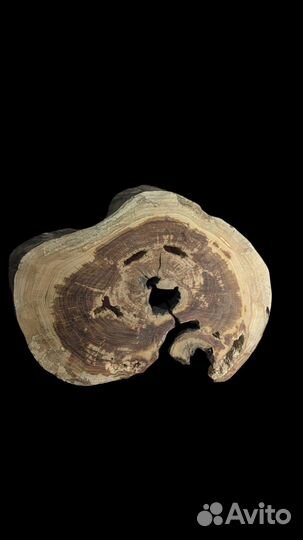 Спил абрикоса для заливки