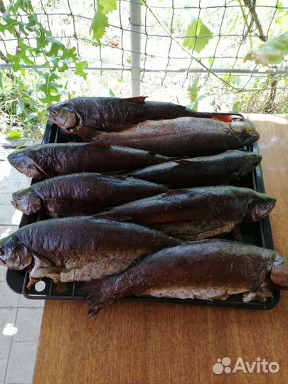 Пелингас горячего копчения