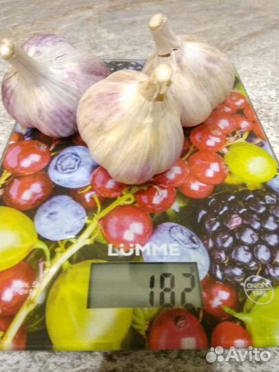 Семена чеснока