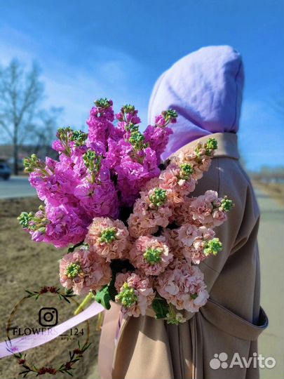 Эустома, Цветы, Flowers124, Доставка