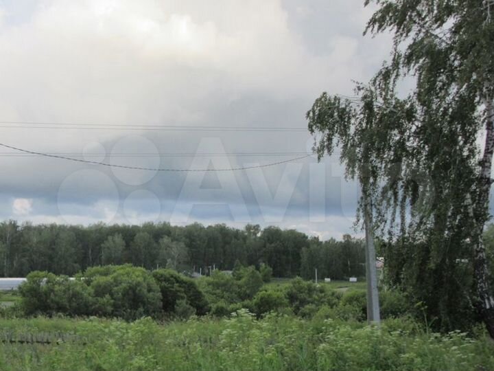 Участок 8 сот. (ИЖС)