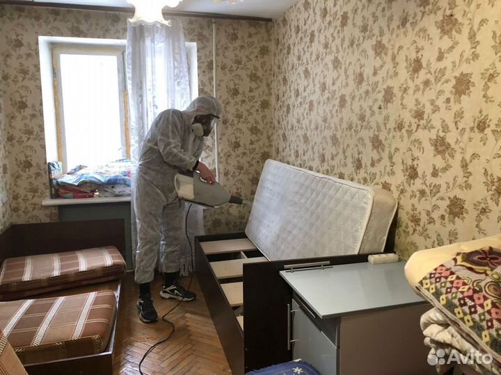 Травить клопов