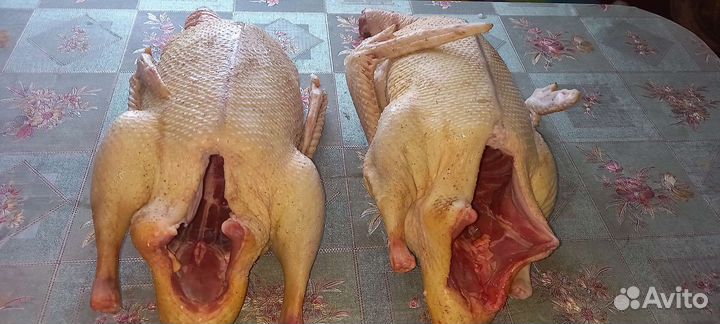 Мясо бройлера, утки.индейки.муларда