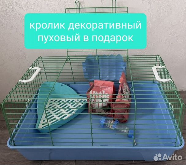 Клетка