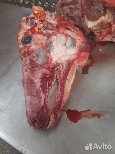 Головы говяжьи