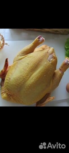 Бройлер, грудка, окорочка, крылья, бедро, голень