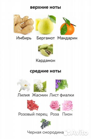 In Red Armand Basi для женщин