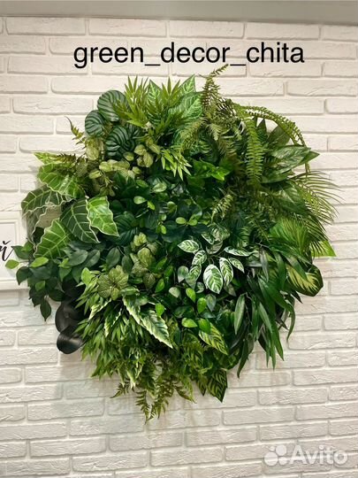 Фитокартины озеленение интерьера