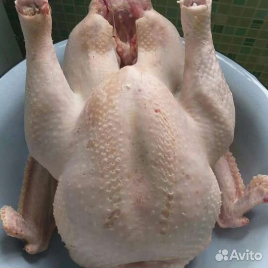 Мясо домашней индейки