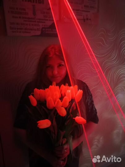 Дискотека, светомузыка