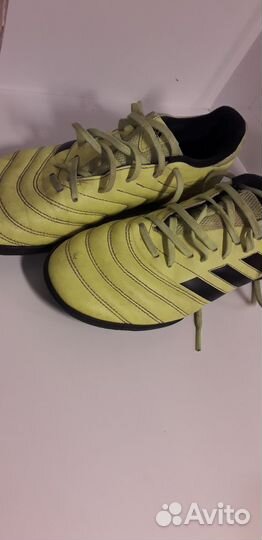 Сороконожки adidas copa