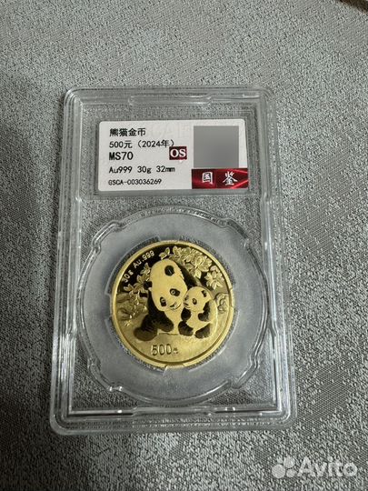 Золотая panda 2024