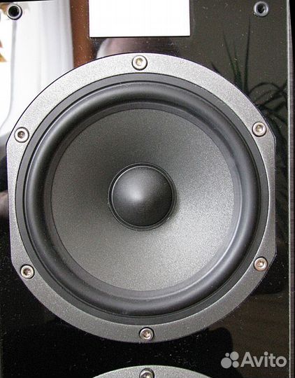 Focal Chorus 826 v