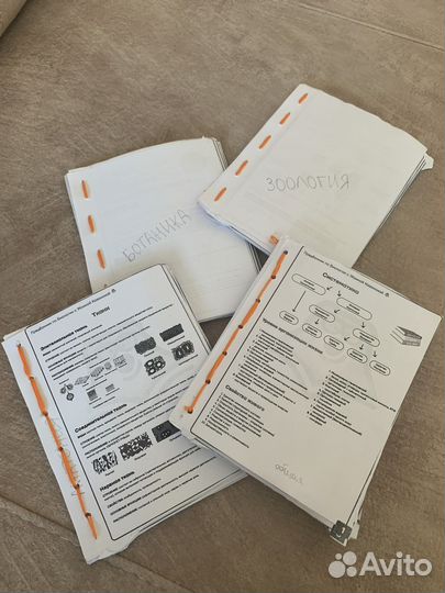 Шпоры егэ биология