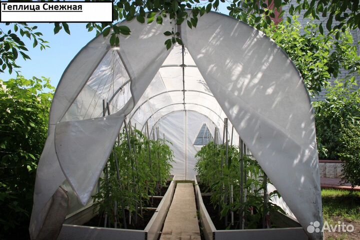 Теплица в ассортименте