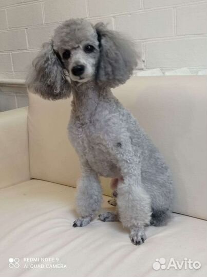 Обучение с нуля