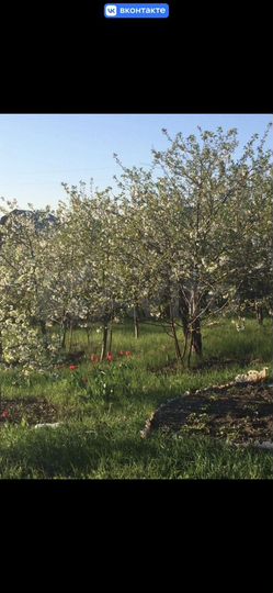 Дача 20 м² на участке 6 сот.