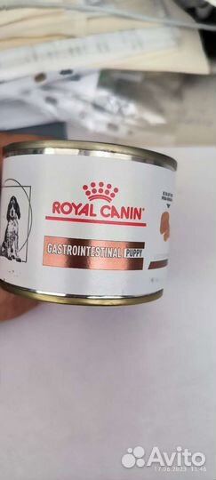 Royal canin gastrointestinal puppy