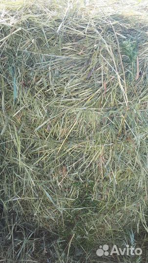 Сено на корм,подстилки животным, в огород