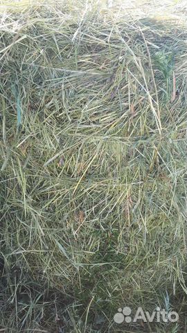 Сено на корм,подстилки животным, в огород
