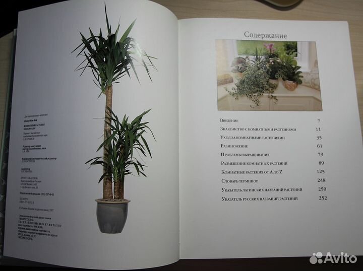 Комнатные растения. Энциклопедия